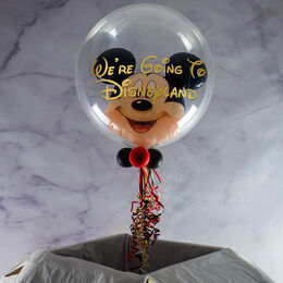 'We're Going To Disneyland' Reveal Mickey Mouse Bubble Balloon