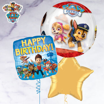 Paw Patrol Balloon Package