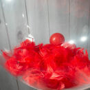 Personalised Red Feathers Bubble Balloon additional 3