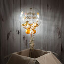 Gold & White Feather 'Merry Christmas' Bubble Balloon additional 1