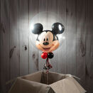 'We're Going To Disneyland' Reveal Mickey Mouse Bubble Balloon additional 2