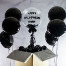 Black Feathers Balloon Package additional 2